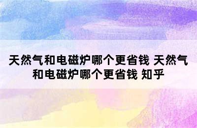 天然气和电磁炉哪个更省钱 天然气和电磁炉哪个更省钱 知乎